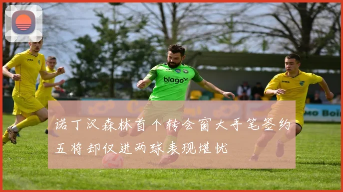 诺丁汉森林首个转会窗大手笔签约五将却仅进两球表现堪忧